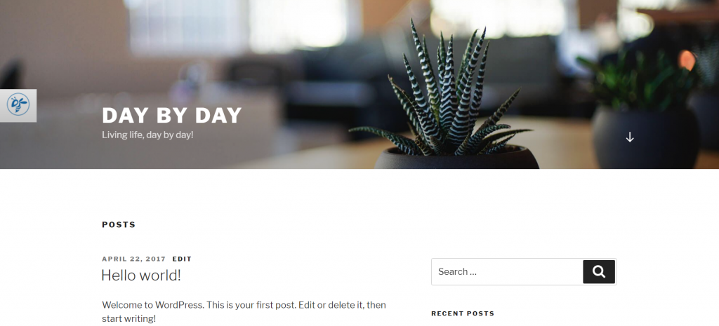 First WordPress Blog Post